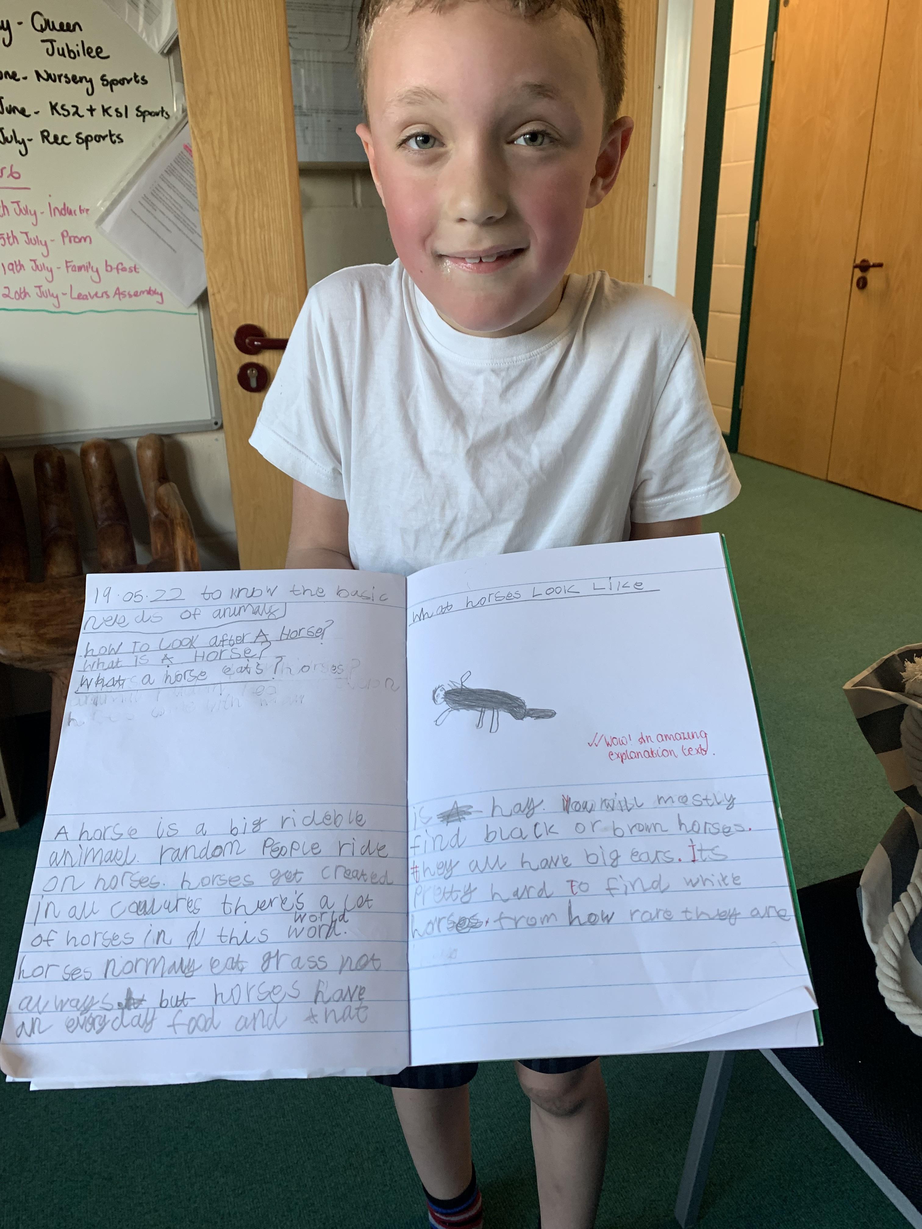 Well done, Sonny. A super explanation text with fabulous vocab too!